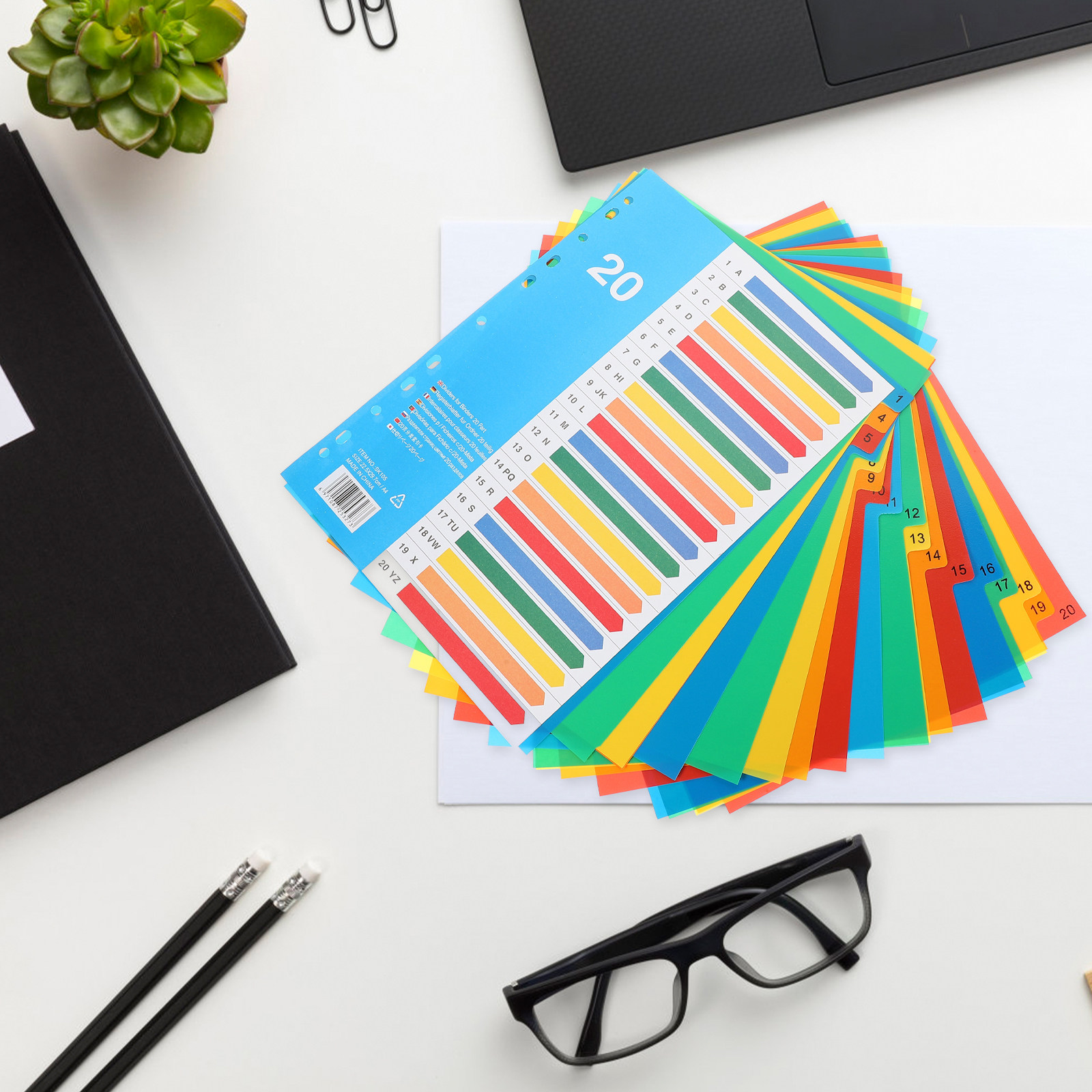 5Pcs Premium PP Plastic Binder - Tab Divider A4 评论和价格