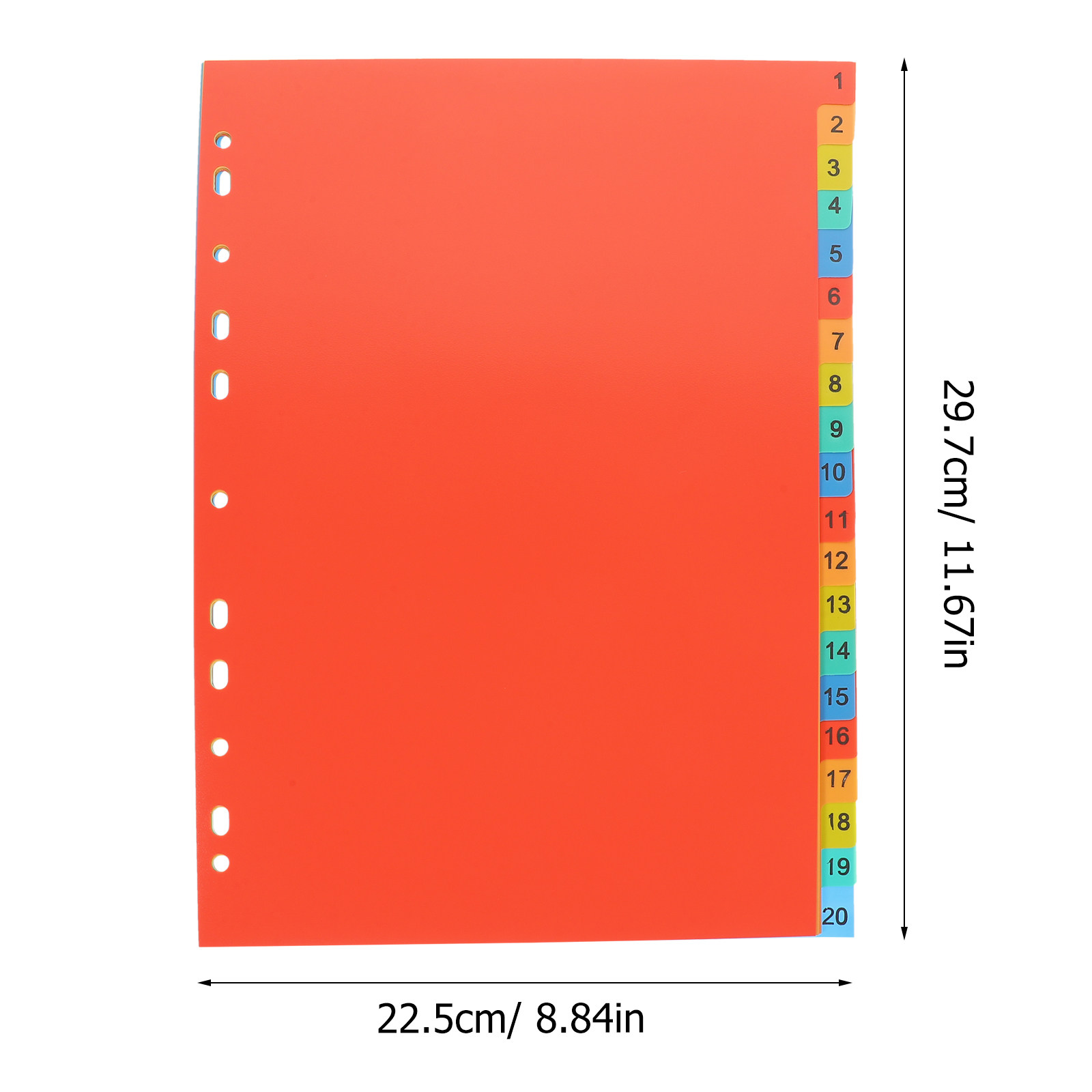 20 Sheets A4 Index Divider Pla - Tab Divider A4 评论和价格