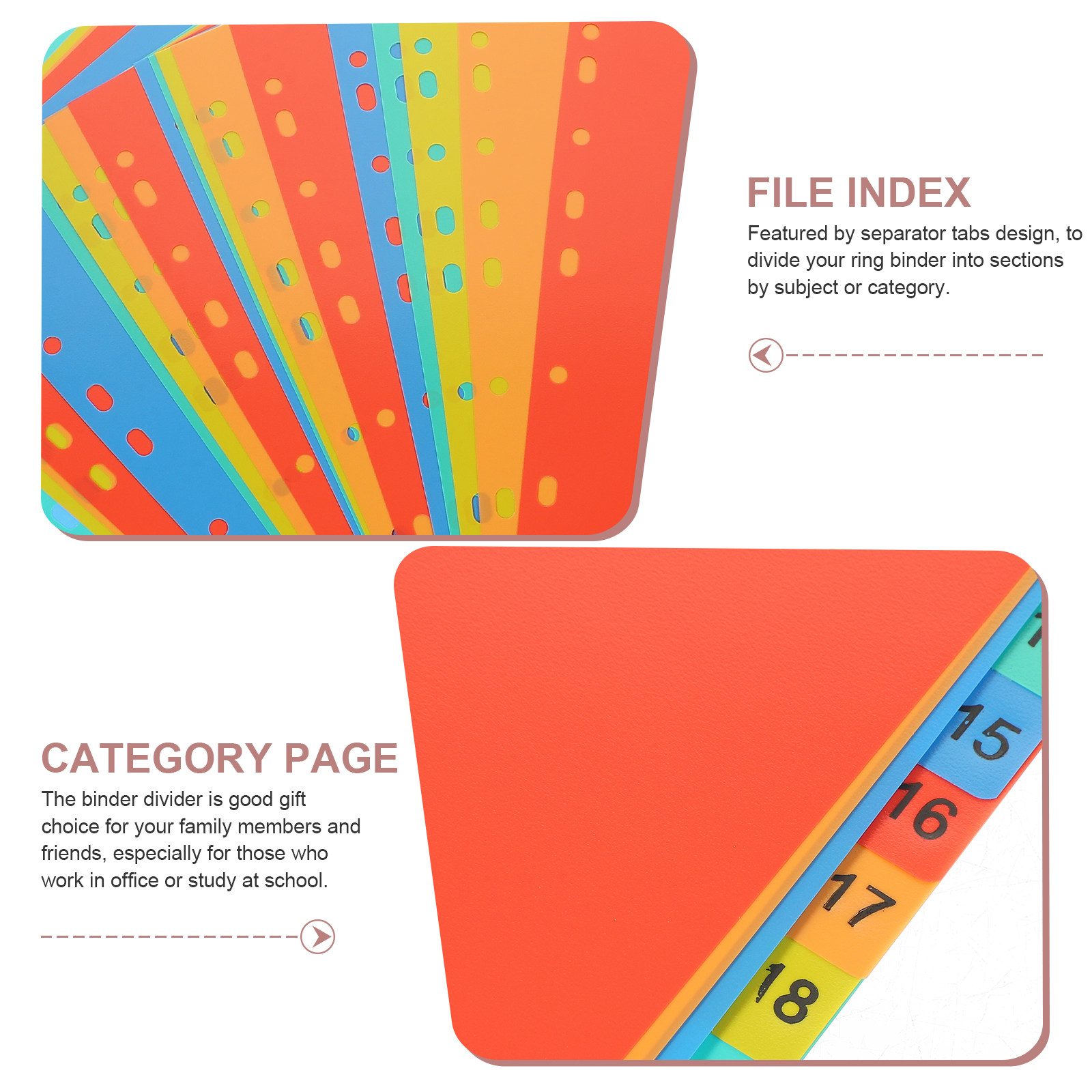 20 Sheets A4 Index Divider Pla - Tab Divider A4 评论和价格